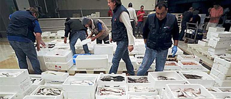 sequestro-pesce_480_300.jpg
