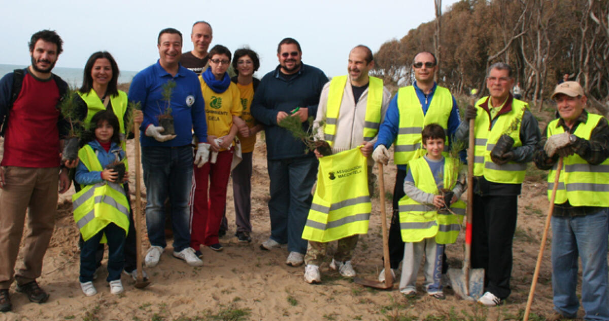 Macchitella, nel boschetto piantumate 800 essenze di macchia mediterranea - 