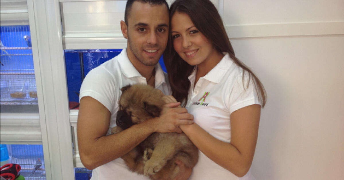 L'amore per gli animali diventa lavoro per Alessandra e Felice - 