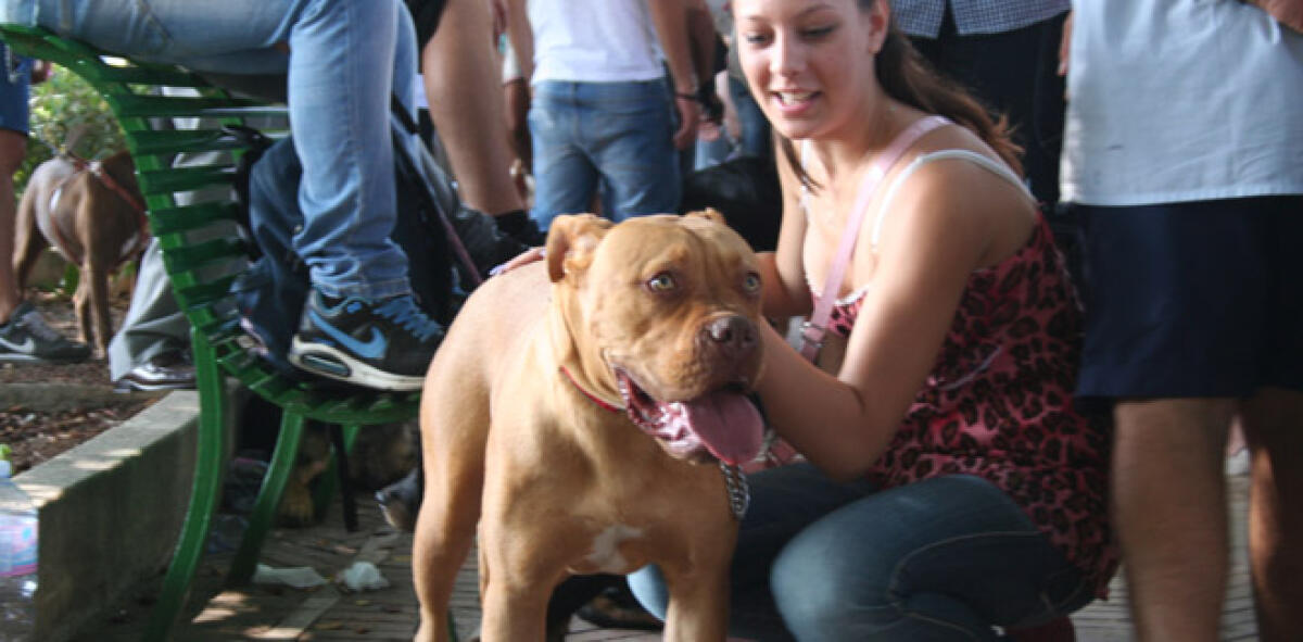 Villa Garibaldi rivive con la gara amatoriale di cani anche meticci - 