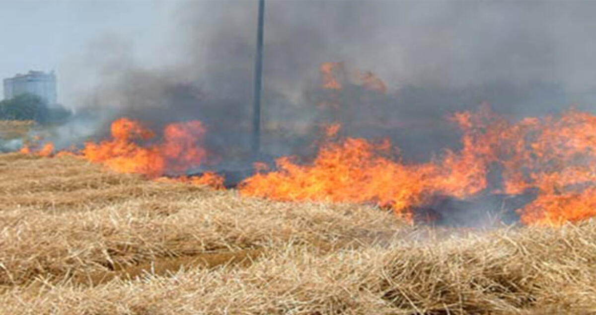 Fiamme ad una delle serre della cooperativa Agro Verde - 