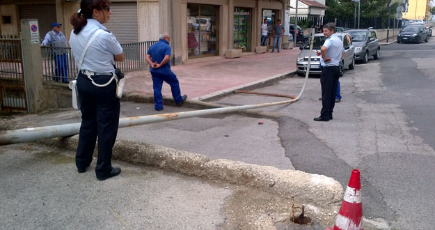 palo%20caduto.jpg