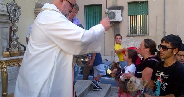 benedizione%20animali.jpg