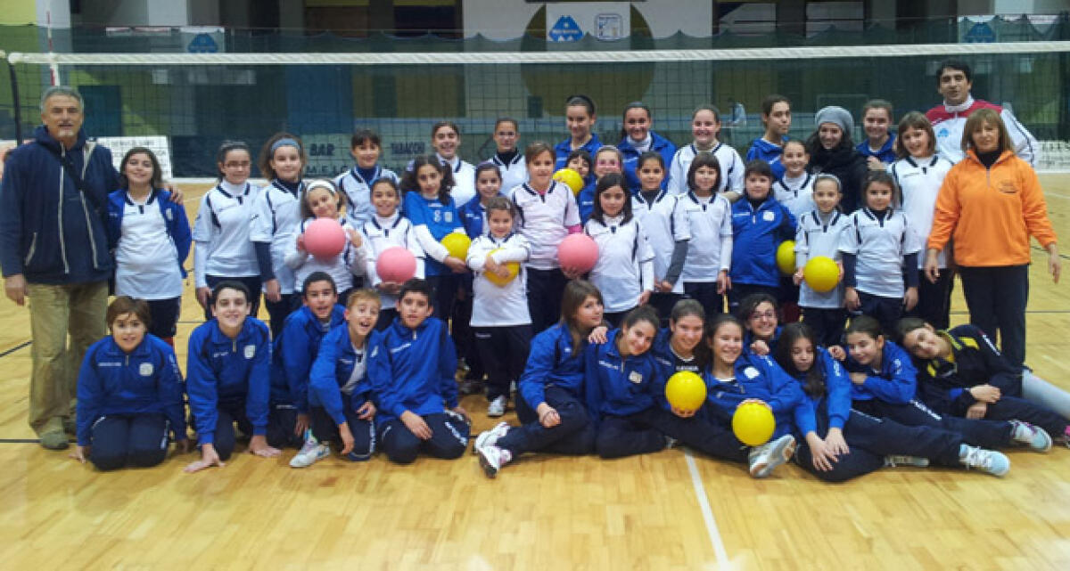 La Meic Services vuole chiudere col botto il 2012, appuntamento al Palalivatino - 