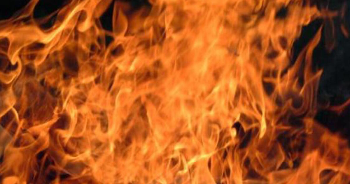 Fiamme all’interno di un fienile, due cavalli salvati dal rogo -