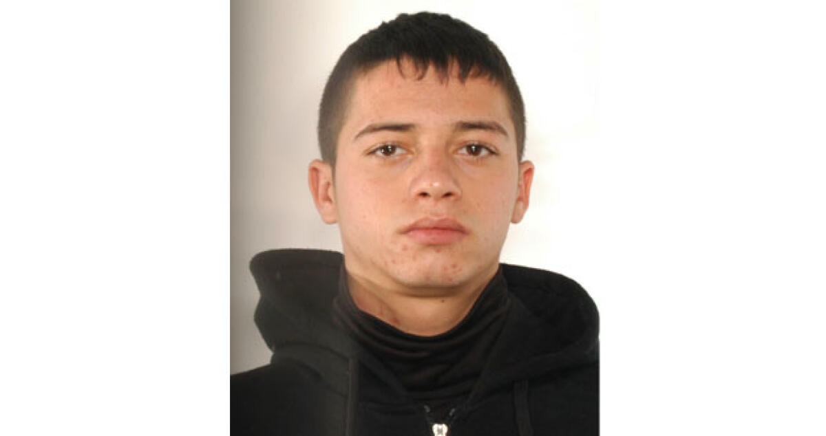 Giovane 20enne in manette per furto aggravato, la polizia cerca i complici -