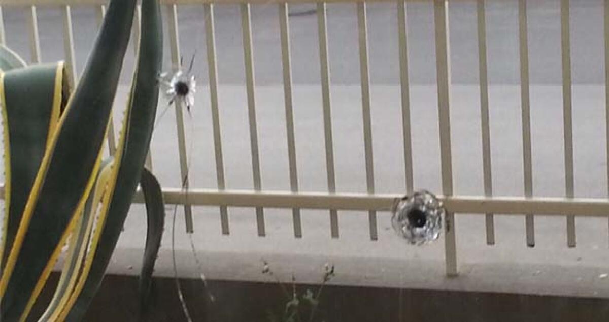 Due colpi di fucile calibro 12 contro la vetrata della concessionaria Bordieri -