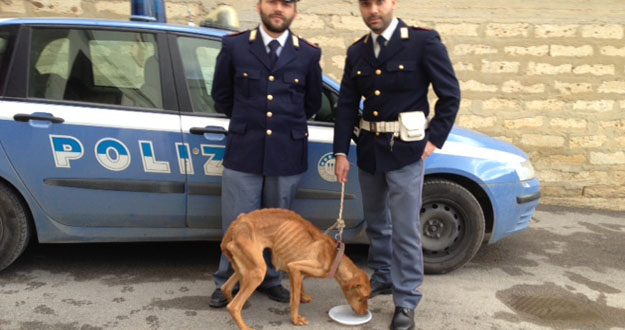 polizia%20salva%20pitbull.jpg