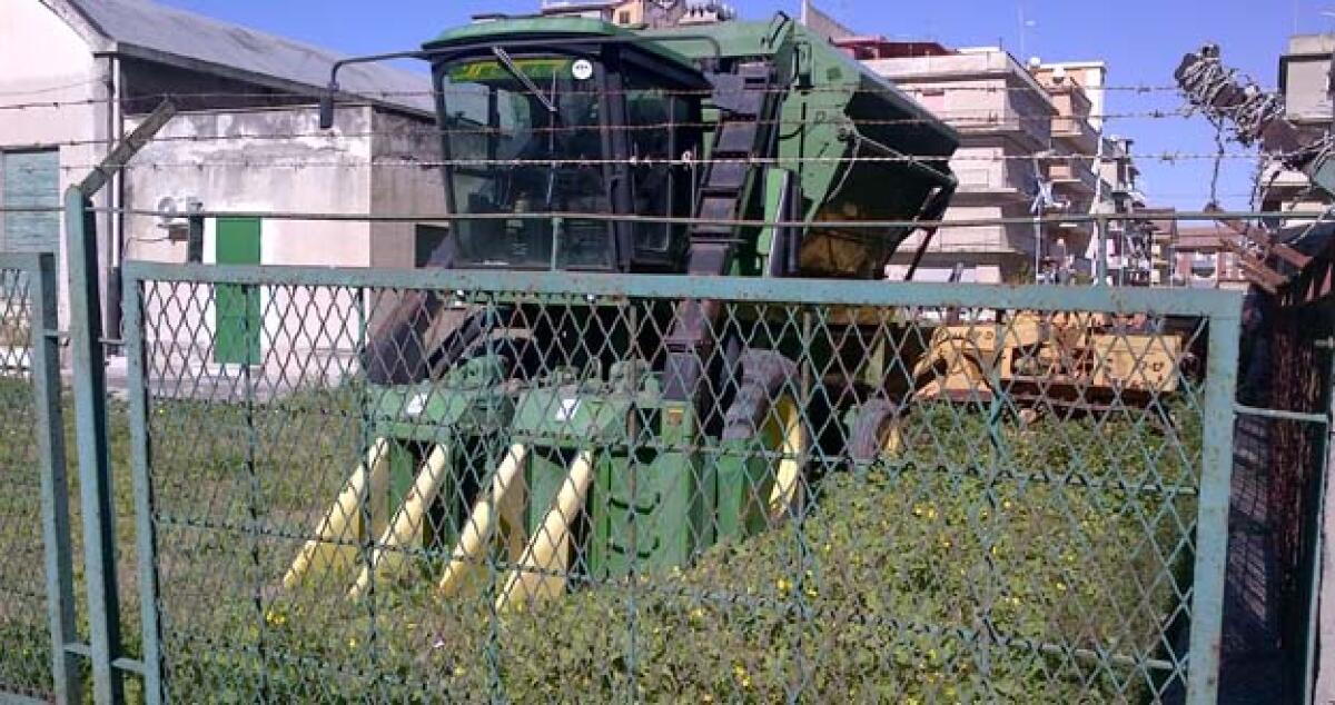 Raccolta del cotone addio? Da un anno, macchina ferma senza manutenzione -