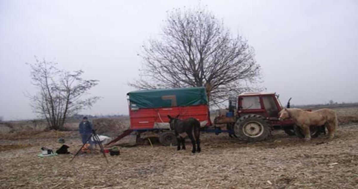 Organizzò una spedizione punitiva contro braccianti agricoli, arrestato un pastore -