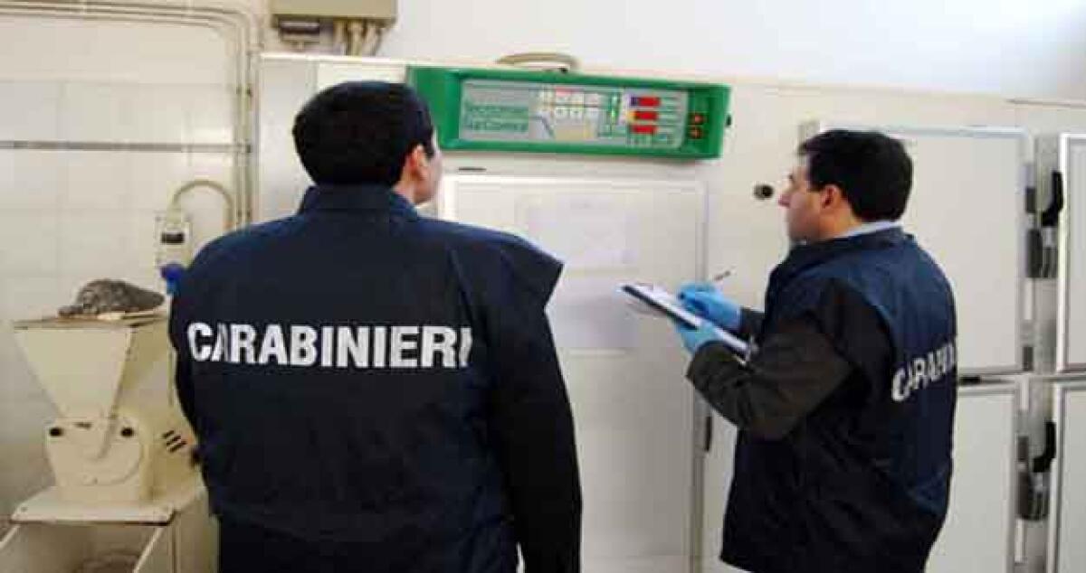 Sequestrati 700 chili di formaggio, carabinieri e ispettori Asp in caseificio -