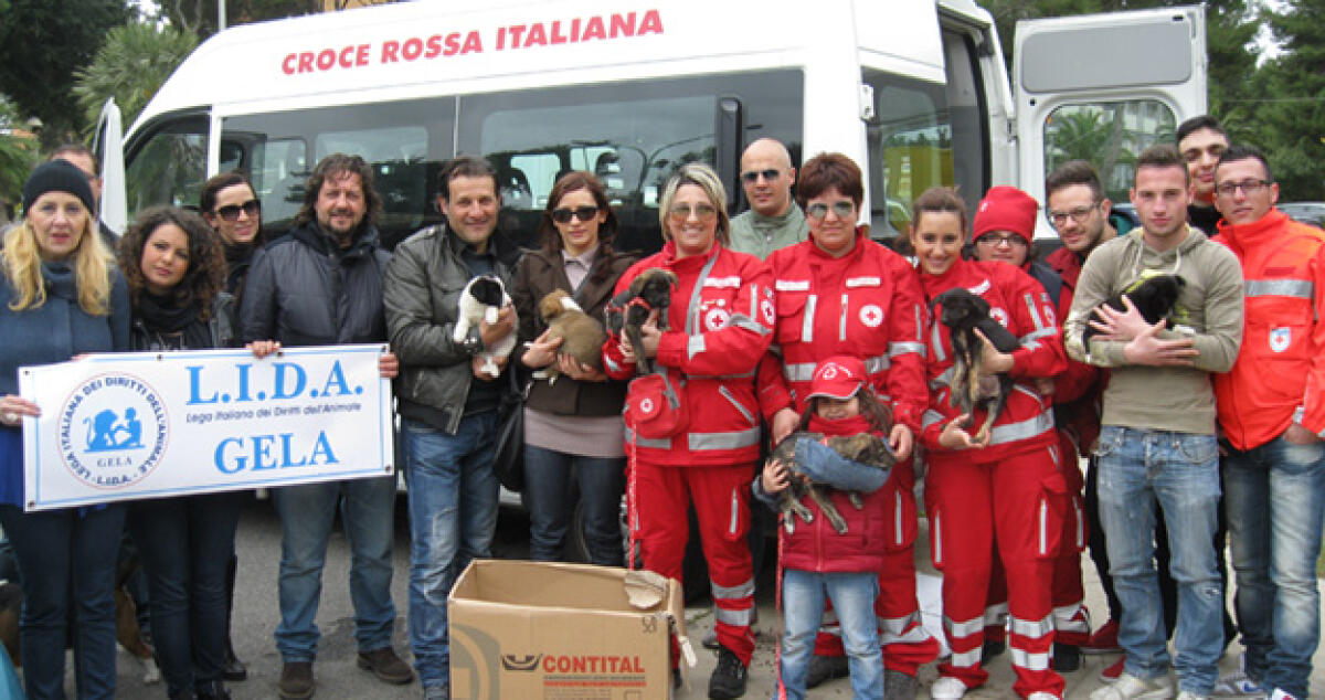 Lida e Croce Rossa insieme per l'adozione dei cani randagi -