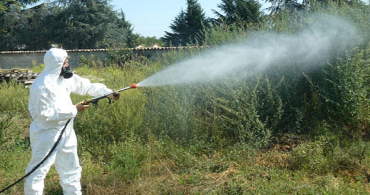 Ambiente: Al via gli interventi di pulizia e disinfestazione, ecco il calendario: - 