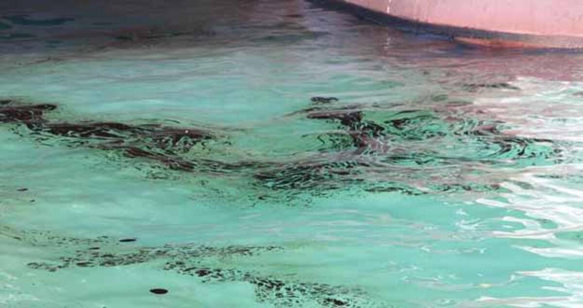 Macchia nera al porto isola Eni: Azienda esclude qualsiasi sversamento - 