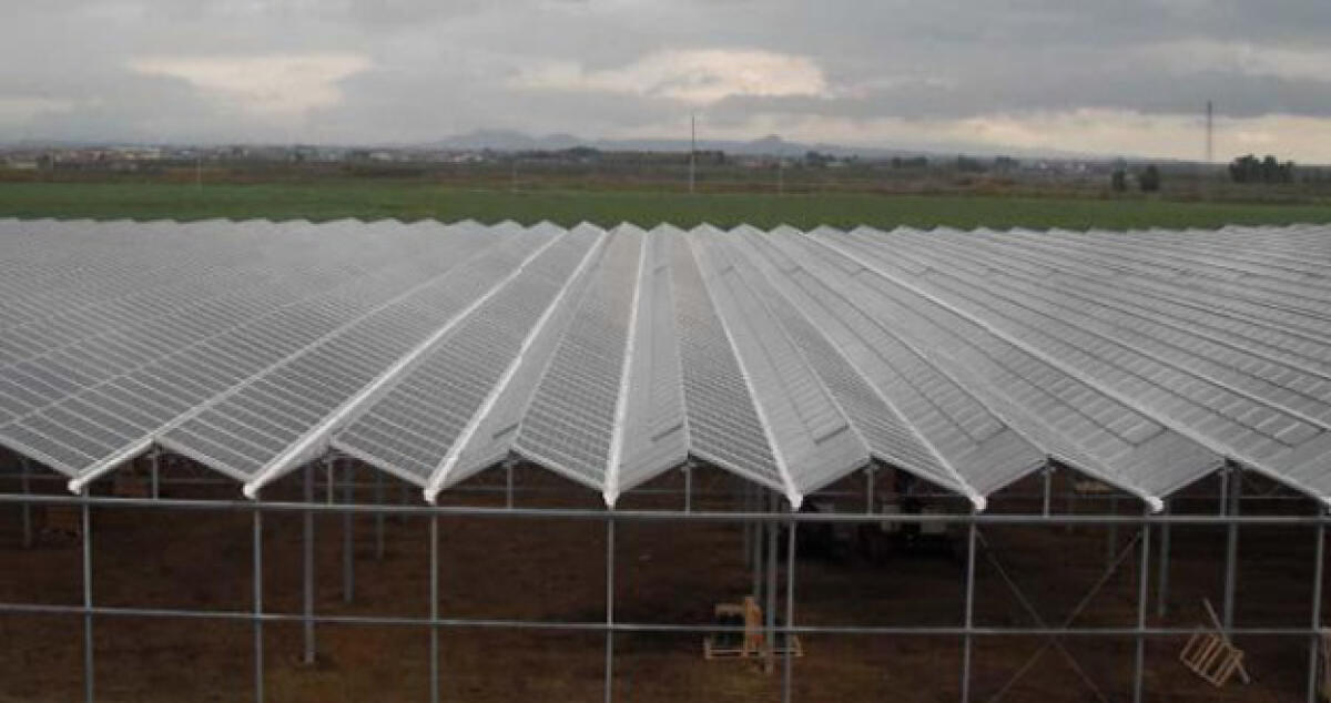 Serre vuote ma tanti soldi dallo Stato: Scattano segnalazioni al Ministero - 