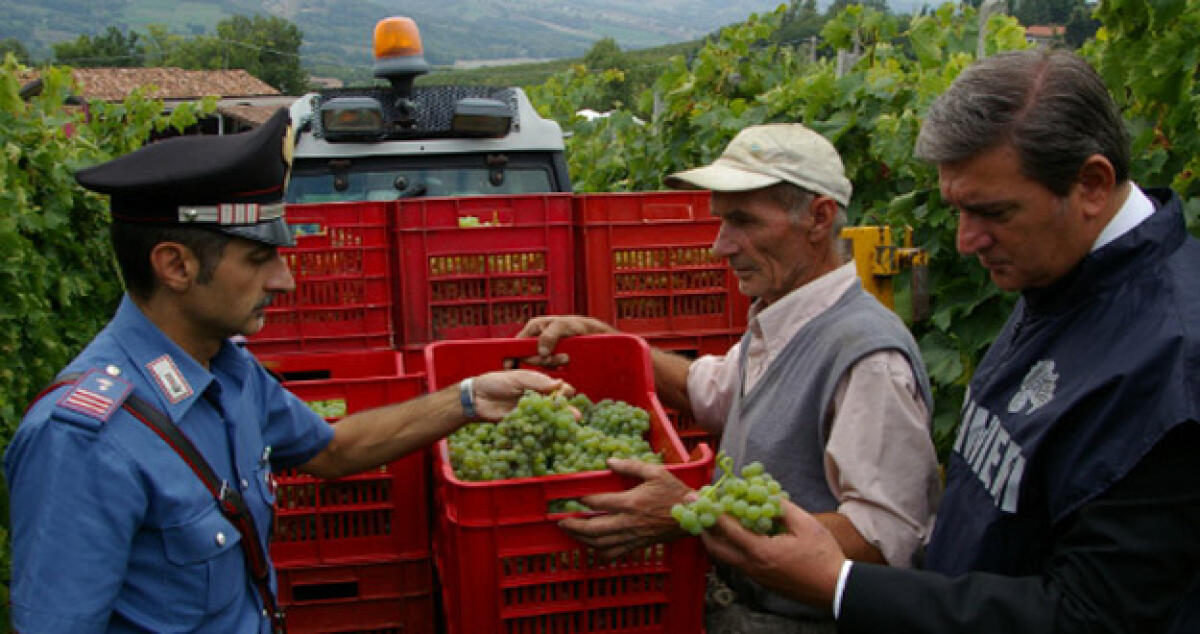 "Quei prodotti non sono biologici": Il grande affare del falso. Controlli in città - 
