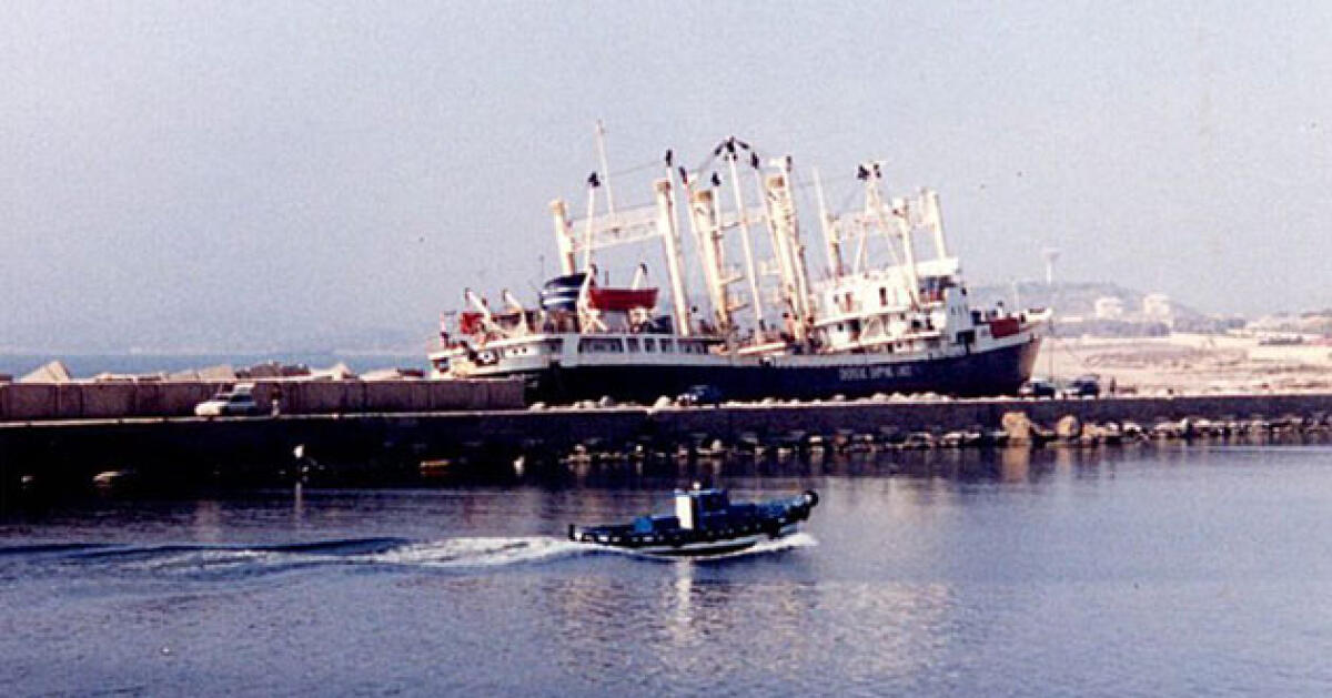 Il relitto della “New Rose” fa paura: Convocati tecnici per la bonifica - 