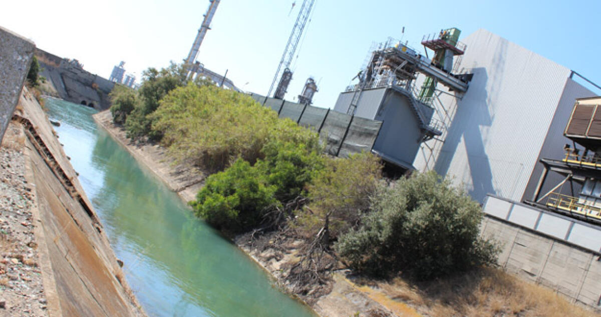 Incidente al Topping, Federico contro il grillino Trizzino: "Crei allarmismo" - 