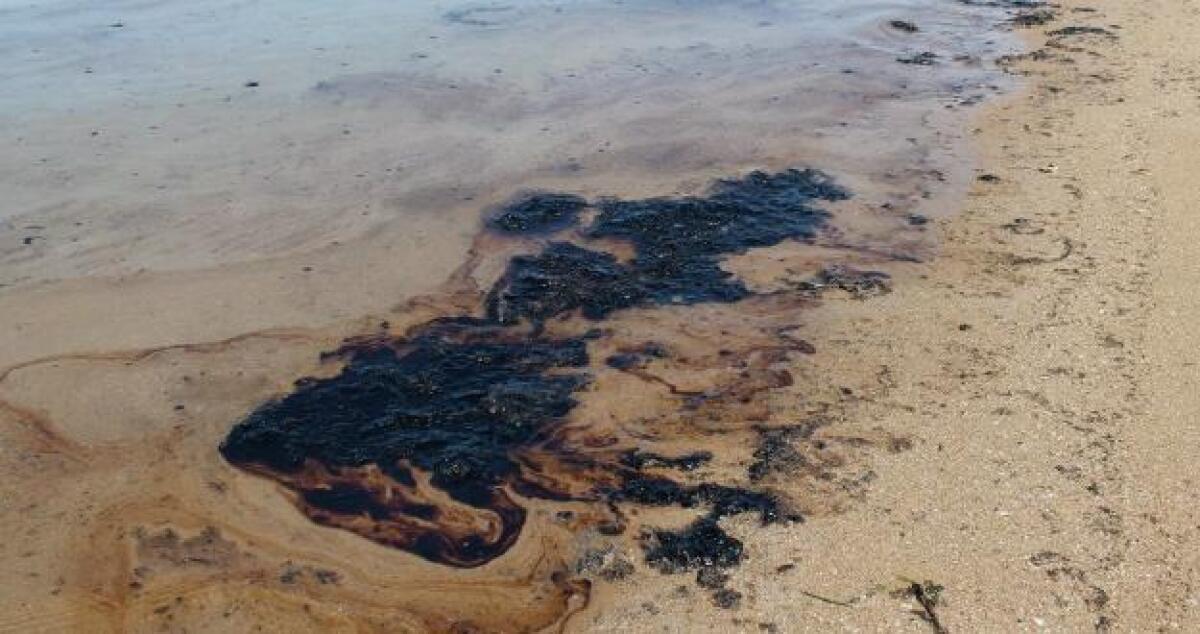 Sversamento petrolio: Commissione Ars in trasferta a Gela - 