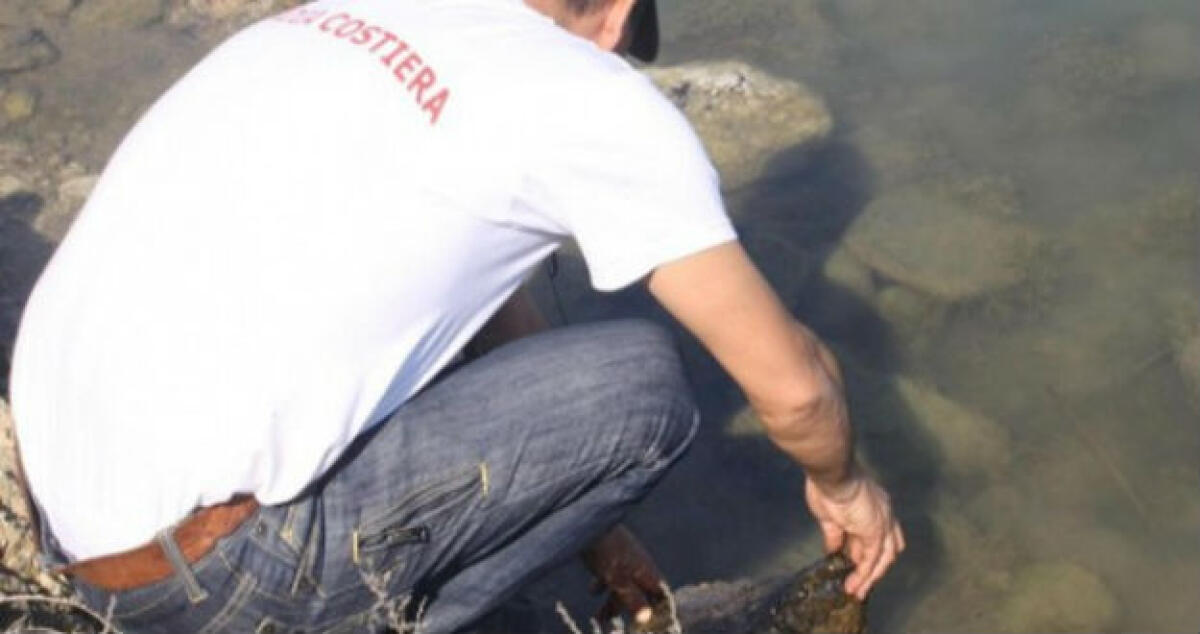 Sversamenti in aree protette: In udienza funzionari Eni smentiscono - 