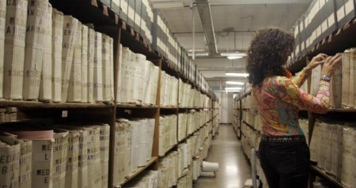 Ogni anno 30 aggressioni e 150 randagi in giro, un aiuto dal centro di sterilizzazione - 