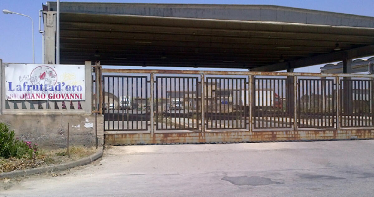 Canoni non pagati dopo lo "sfratto" forzato: Verifiche su azienda ortofrutticola - 