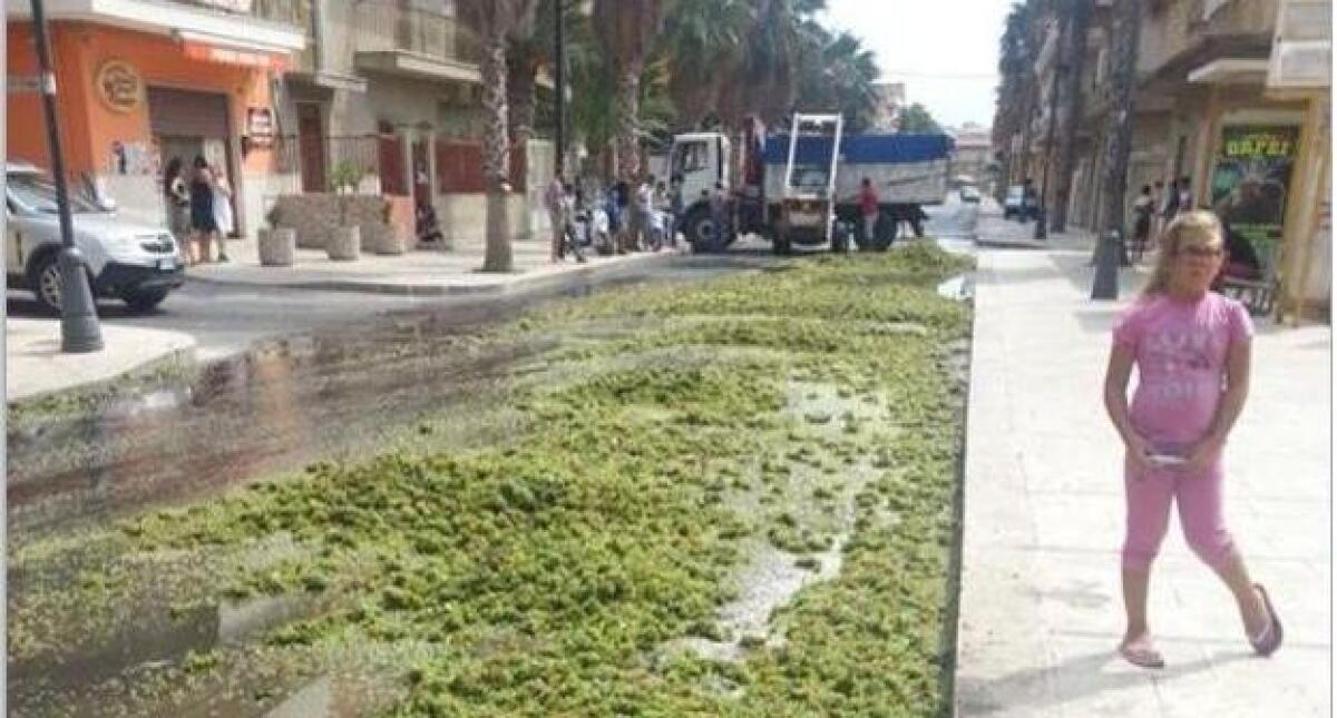 Il portellone del camion si apre e il carico di uva da mosto finisce per strada - 
