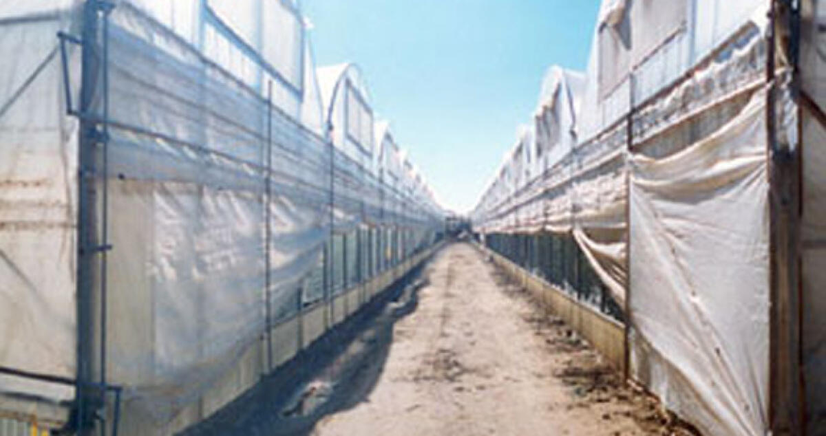 Raffica di furti in campagna, rubato un altro camion carico di plastica - 