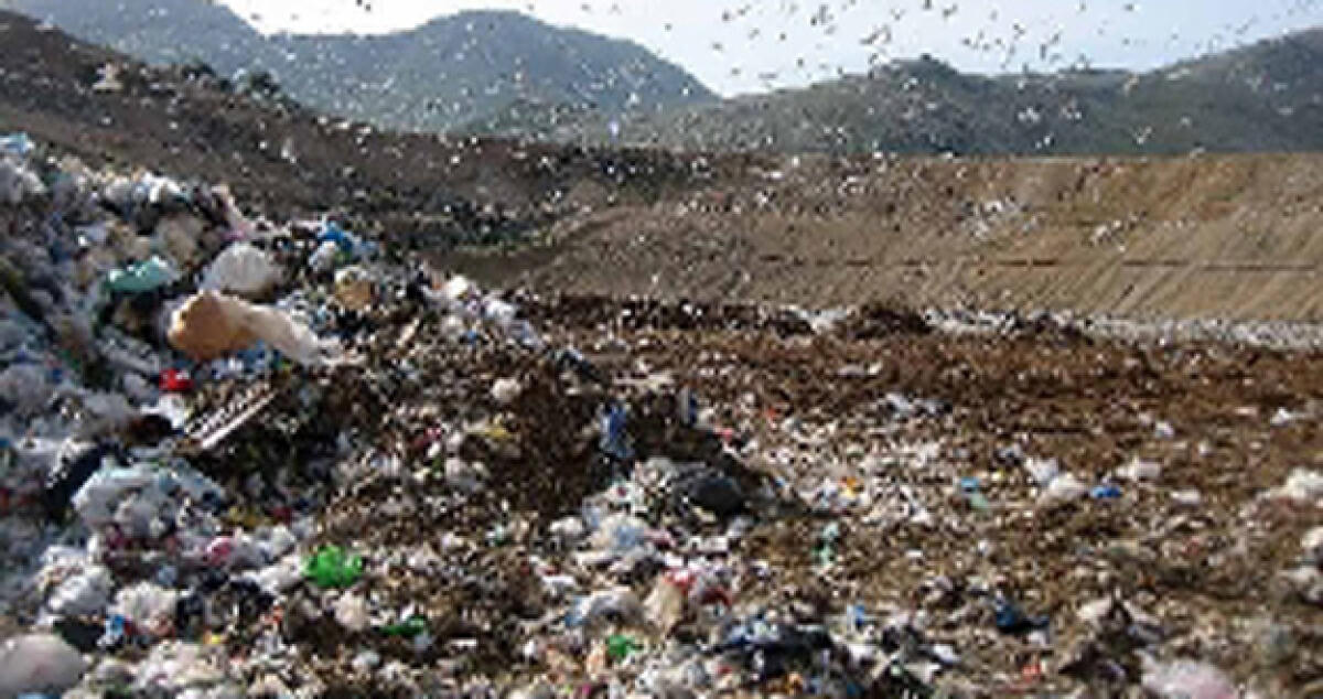 Rischio diossina a Timpazzo, dopo un anno anagrafe al palo - 