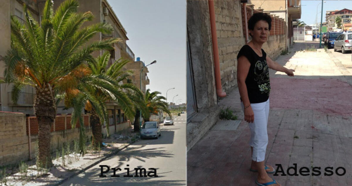 Le palme da via Madonna del Rosario "trasferite" a Caposoprano e Macchitella - 