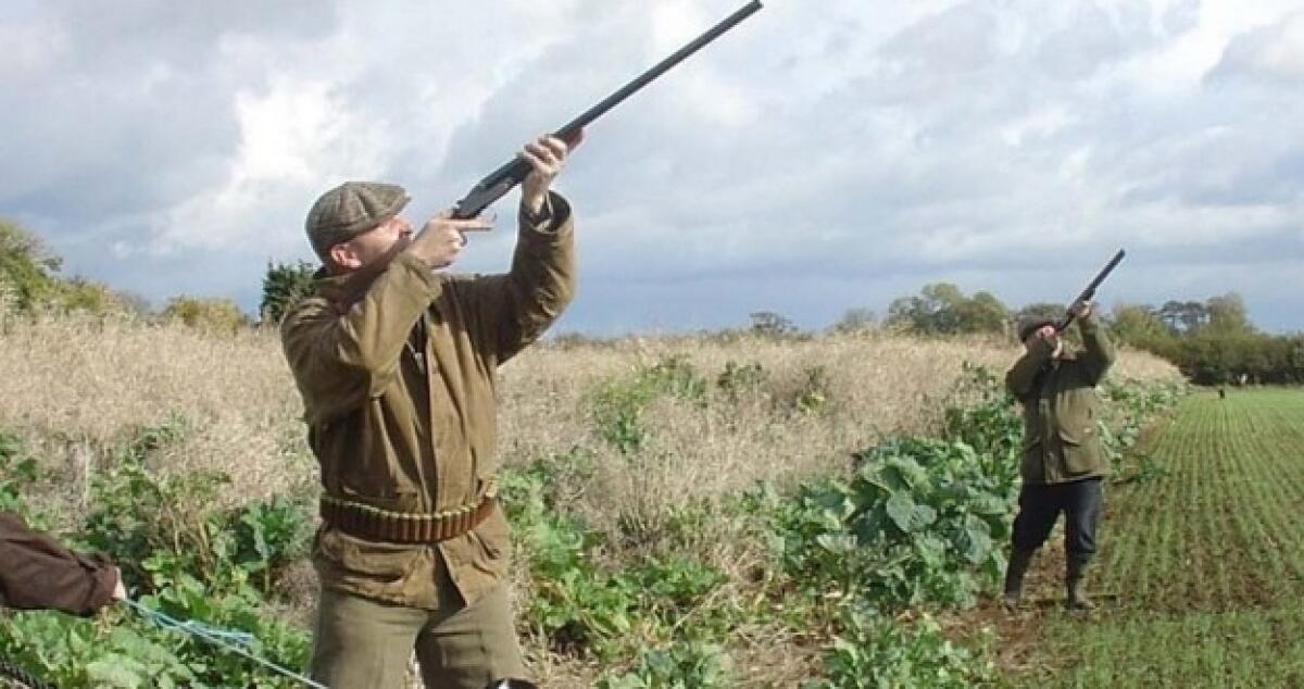 Stagione venatoria compromessa dai vincoli,  in 300 abbandonano la doppietta - 