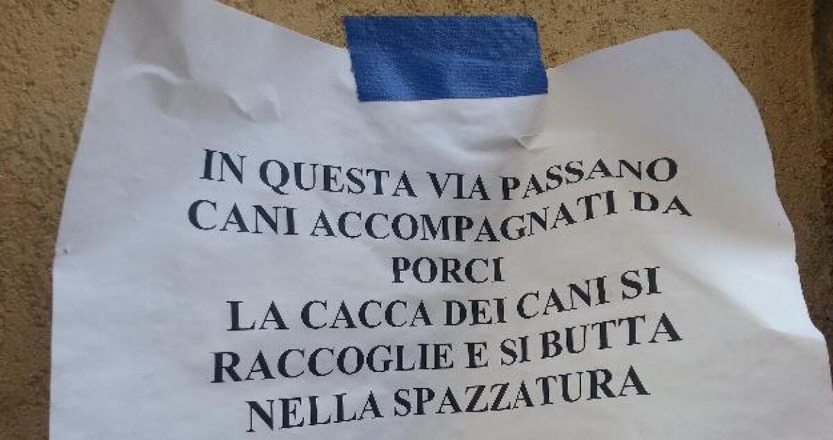 Via Cairoli tappezzata di manifesti: la cacca dei cani va raccolta! - 