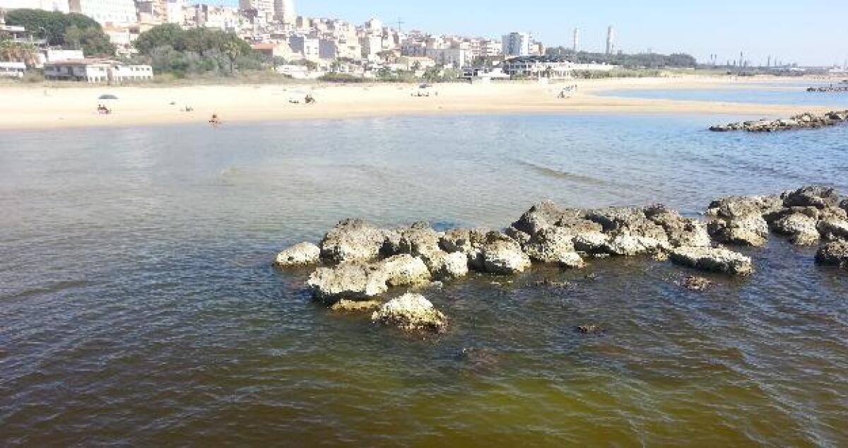 Il porto rifugio viene dragato e il mare diventa nero, la rabbia dei bagnanti - 