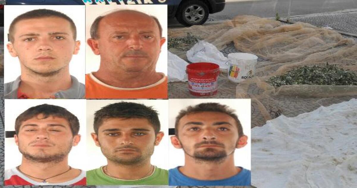 La disperazione porta anche a questo, arrestati 5 ladri di olive a Manfria - 