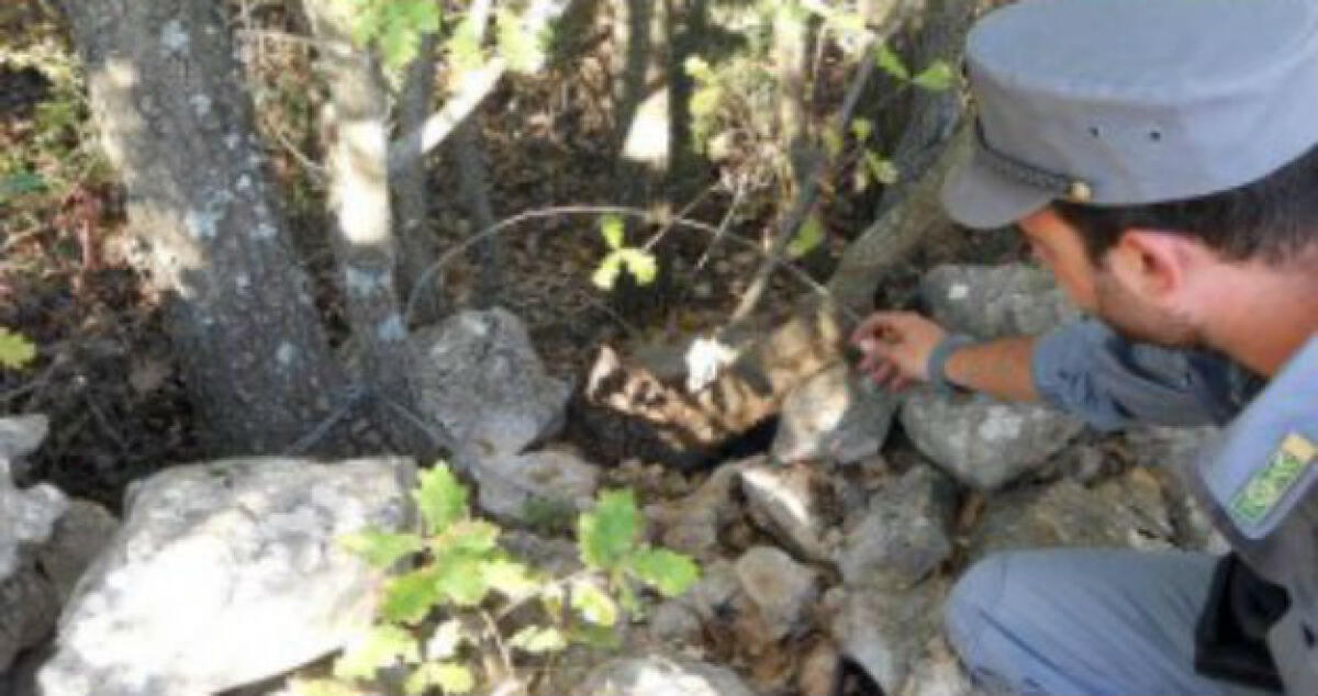 Cacciava senza autorizzazioni a Piano Mendola: Giudice lo condanna - 