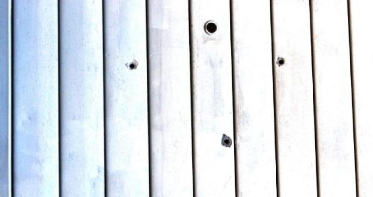 Tre colpi di pistola e fiori allegati, avvertimento contro impiegato Aias - 