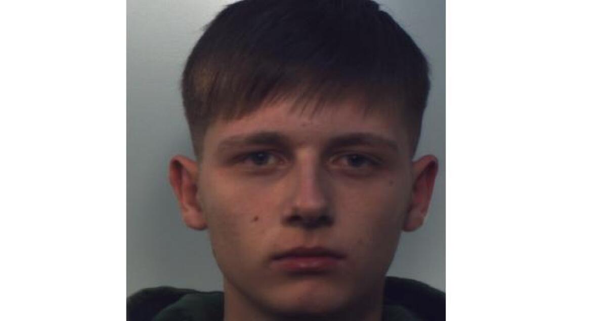 Un carabiniere fuori servizio sventa un furto e arresta uno dei quattro ladri - 