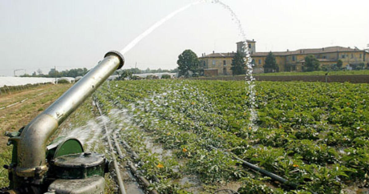 Acqua per coltivare troppo cara? Agricoltori scrivono a Consorzio bonifica - 