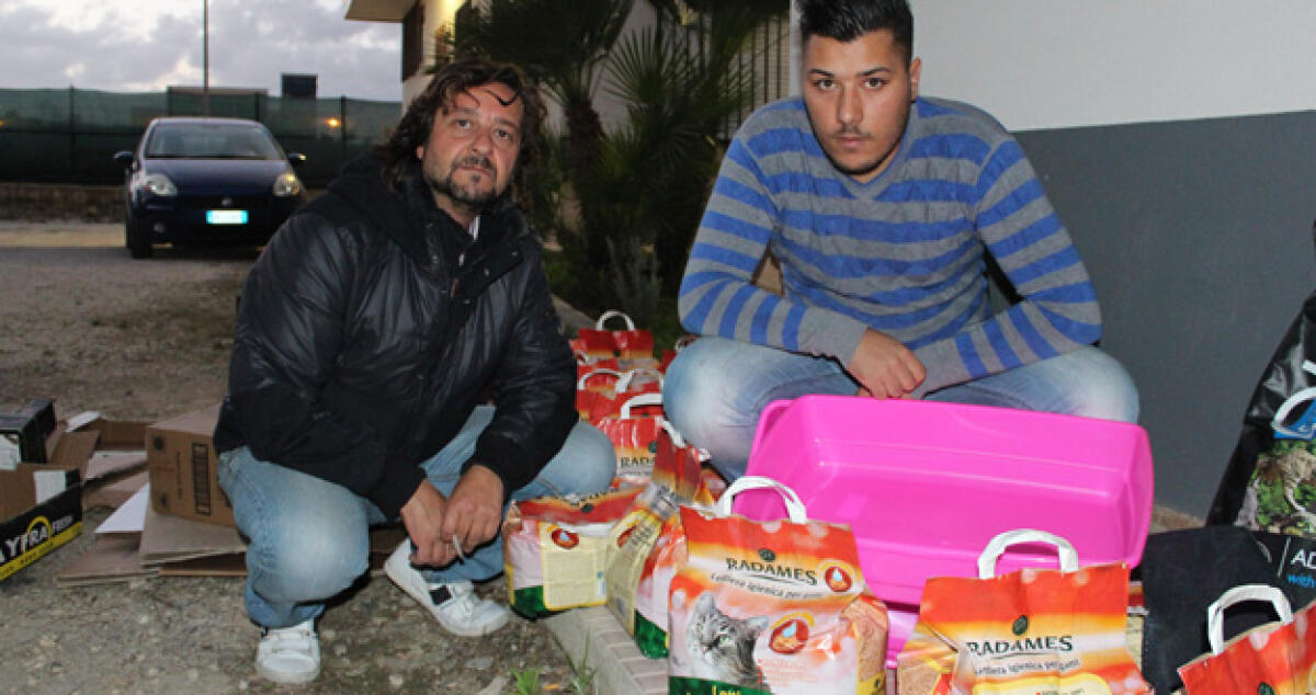 Gatti sequestrati affidati alla Lida, Greco: Locali comunali non idonei - 
