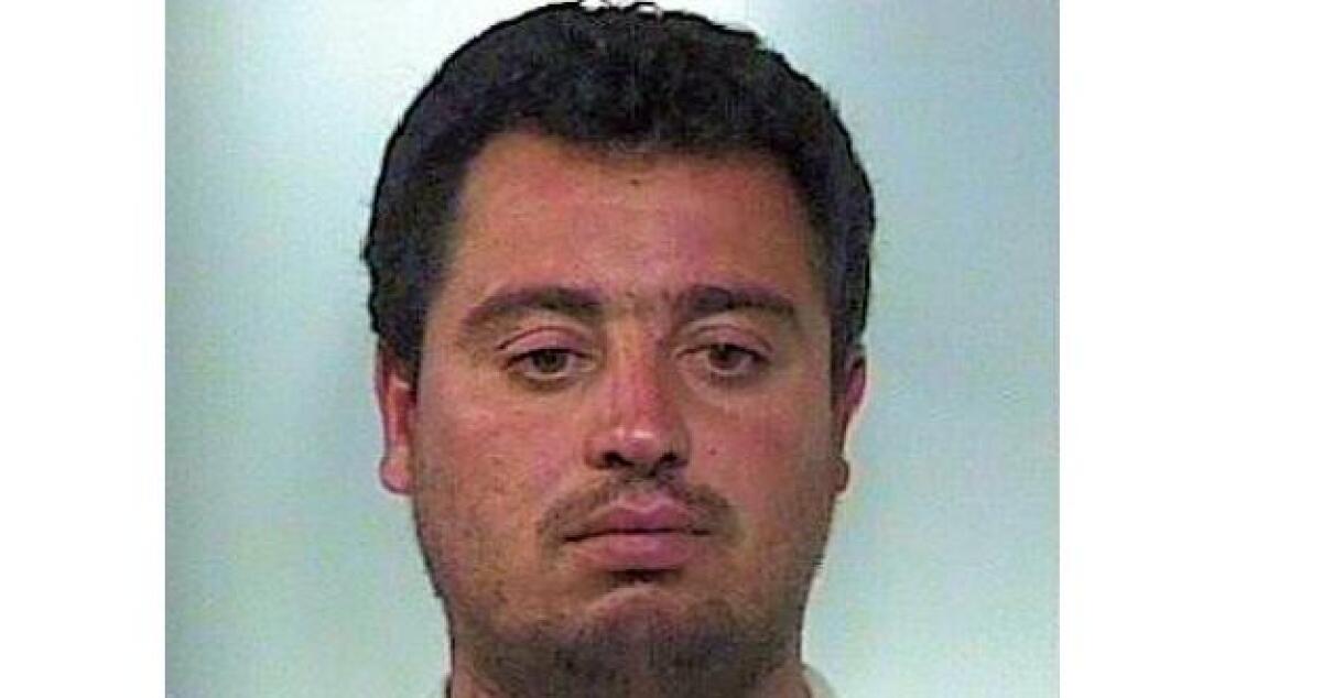 Sorpreso a rubare un albero di ulivo, ai domiciliari un agricoltore - 