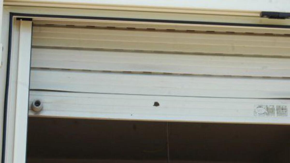 Spari contro la serranda di un'abitazione: Denunciato un anziano cacciatore - 