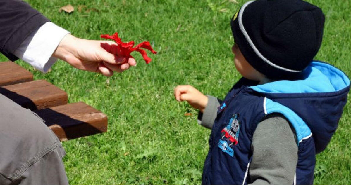 Condizioni di vita al limite: Tredici minori in affidamento ad altre famiglie - 