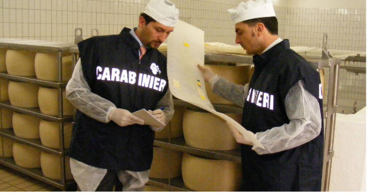 Abusi e sequestri forzati, la procura indaga su veterinari dell'Asp 2 - 