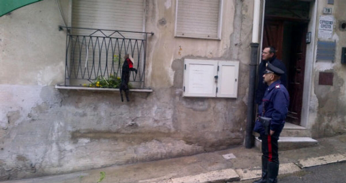 Un gatto impiccato davanti uno studio legale: Carabinieri in via Ducezio -
