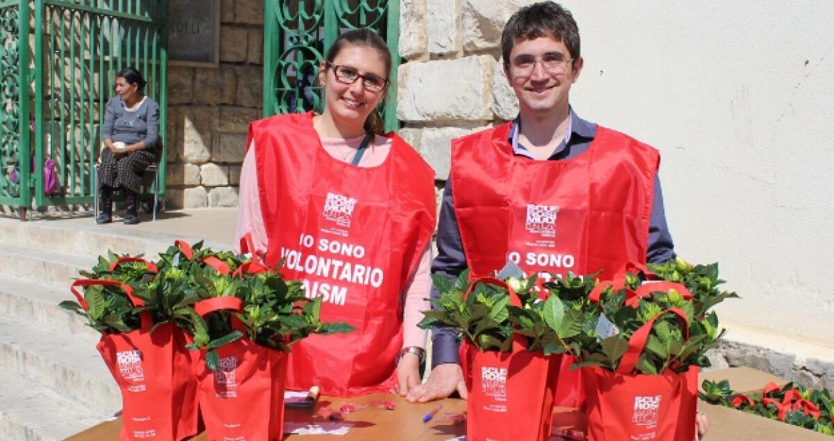 Duecento gardenie vendute per aiutare a combattere la Sclerosi multipla -