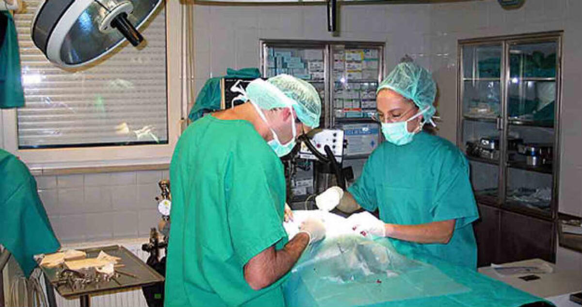 "Non causò la morte dell'anziana paziente": assolto un medico - 