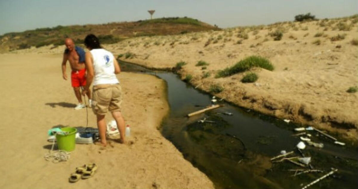 Liquami nel torrente Gattano, sì alle parti civili: "Sembrava quasi un'abitudine" - 