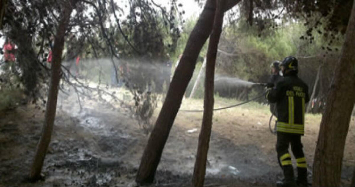 Fiamme nella notte, colpito un intero oliveto: si valutano le cause del rogo - 