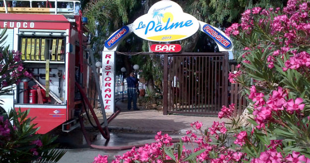 a-paradisea.jpg