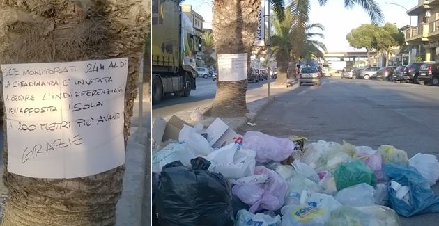 palma%20cartello.jpg